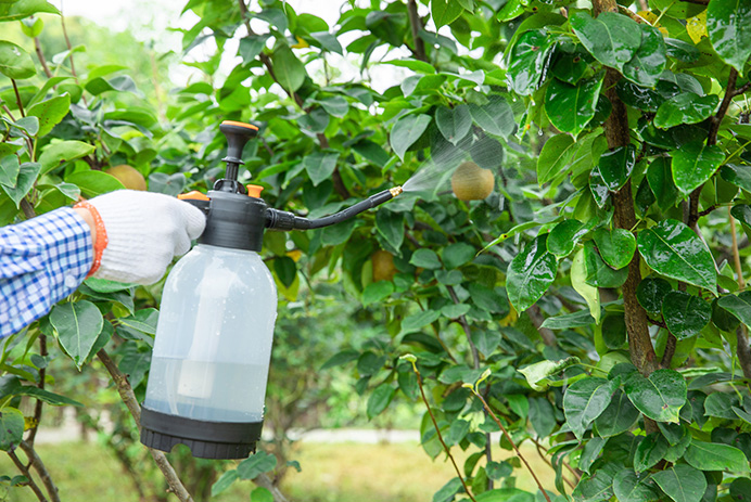 Pesticides