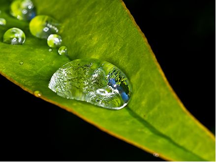 Biodegradable Chelates